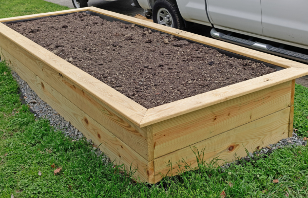 empty garden bed