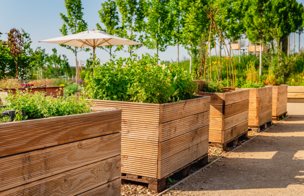 high garden bed